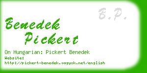 benedek pickert business card